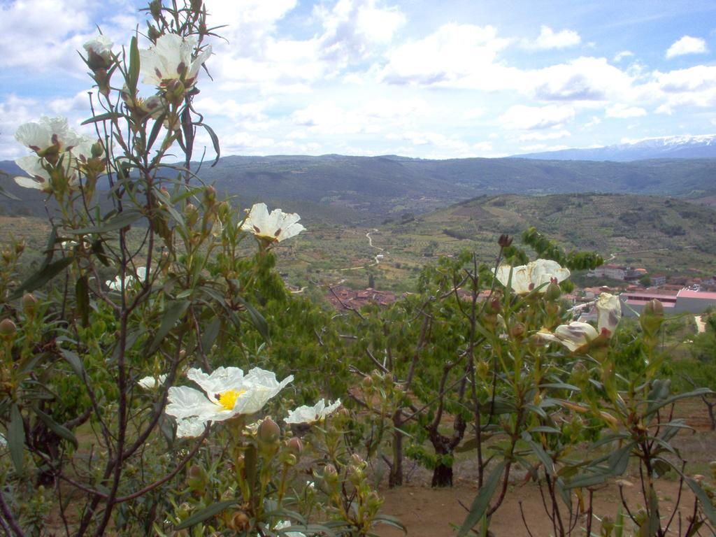 Hotel Rural Sierra De Francia Sotoserrano Eksteriør bilde